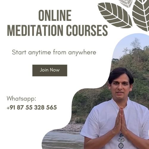 online meditation courses